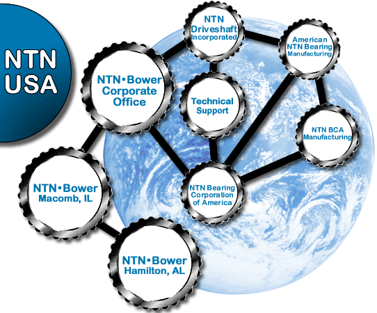 Diagram of Corporate Organizational Structure